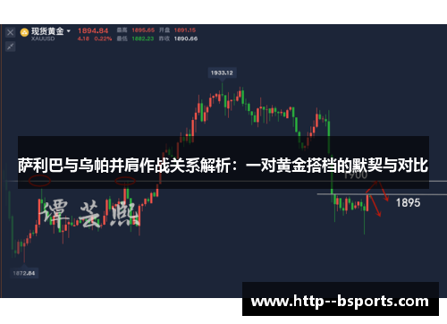 萨利巴与乌帕并肩作战关系解析：一对黄金搭档的默契与对比