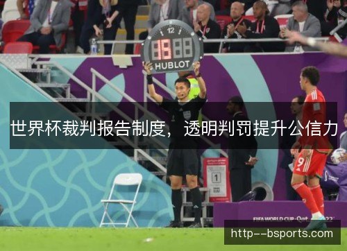 世界杯裁判报告制度，透明判罚提升公信力